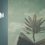 What is TOK Exhibition?