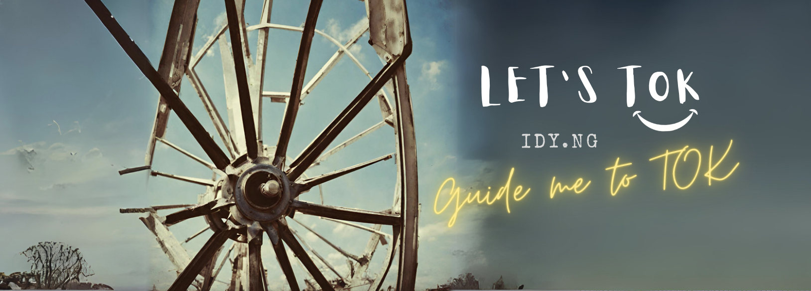 TOK Guide