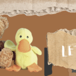 Knowledge and the Knower